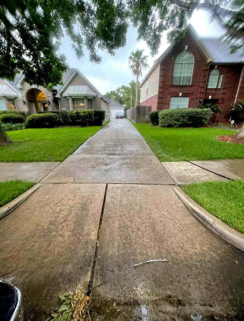 Driveway Before