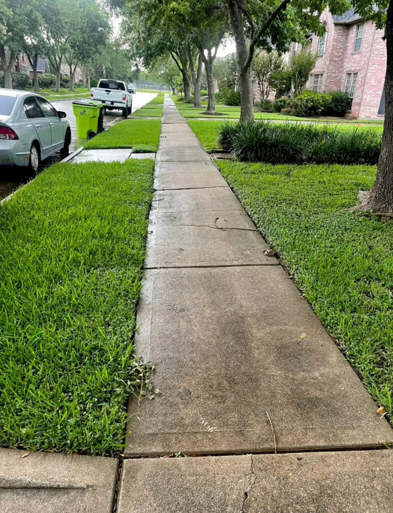 Sidewalk Before